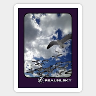 Seagulls & Clouds (realSILSKY IG designs) Sticker